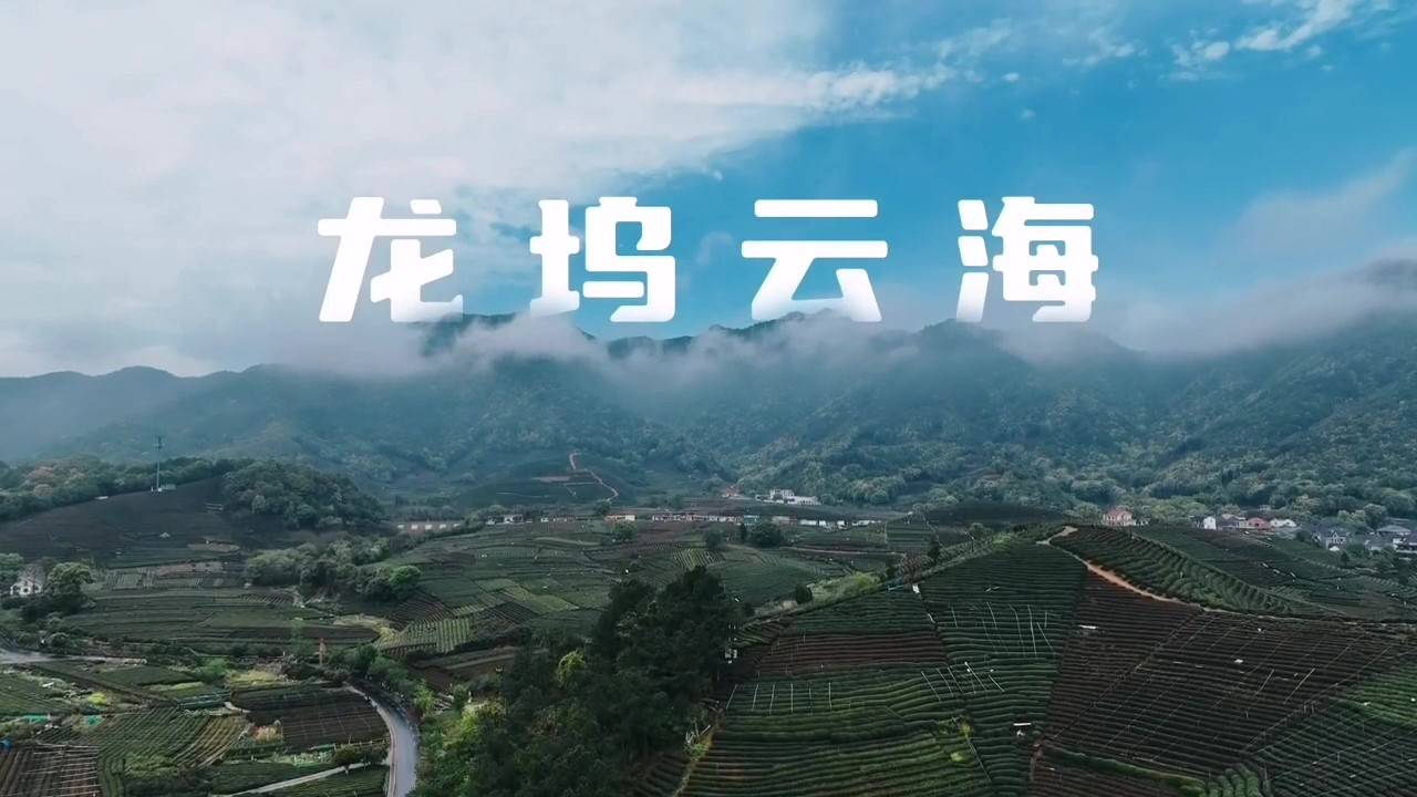 滨江越秀坤和·溪映听庐视频